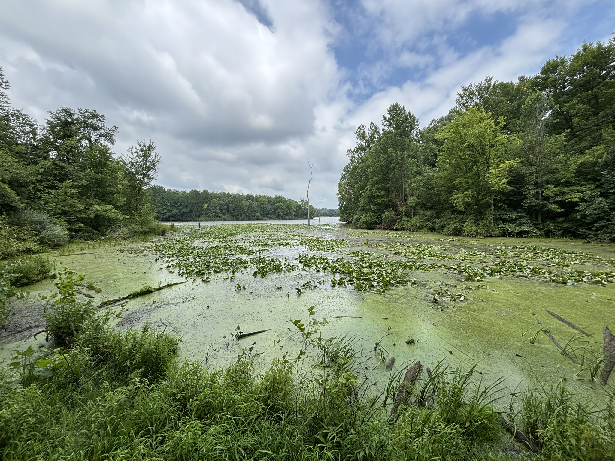 Looking for Little Fishes and Exploring Potato Creek State Park